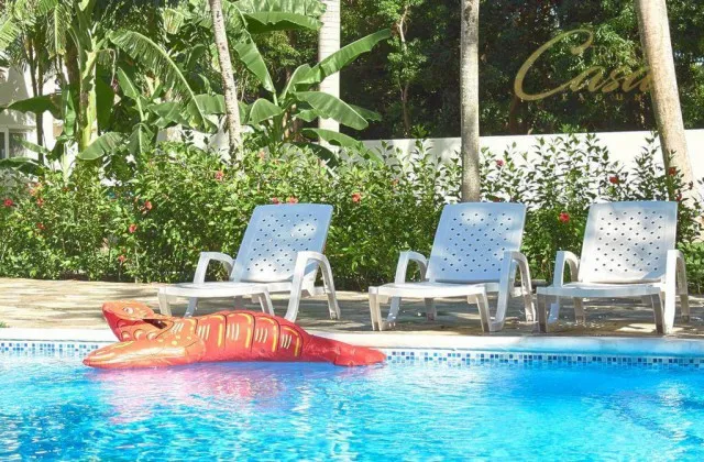 Tropical Casa Laguna pool